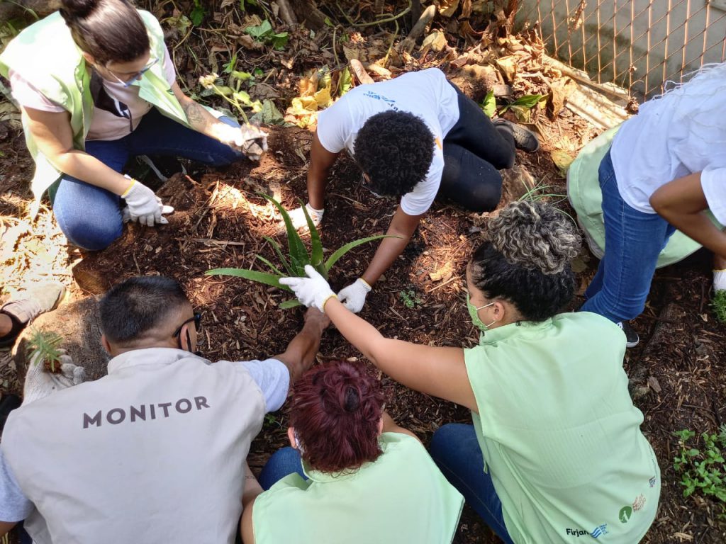 Jovens do projeto ecosocial realizando o plantio de espécies nativas