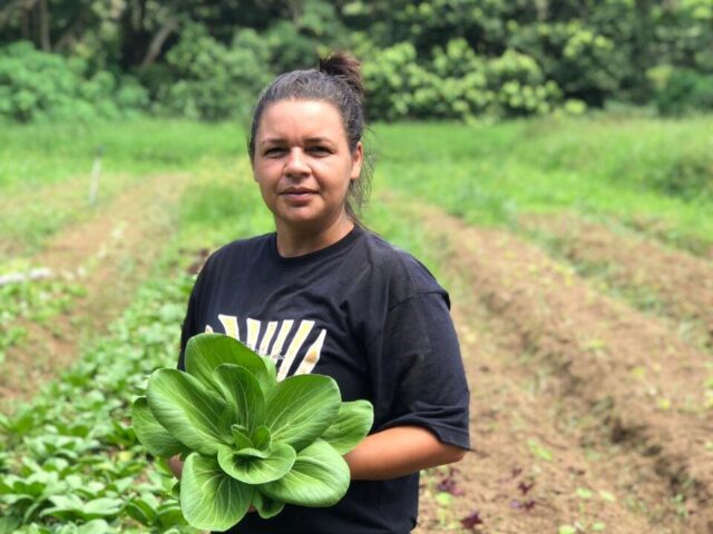Pacote do veneno e o combate com a produção orgânica