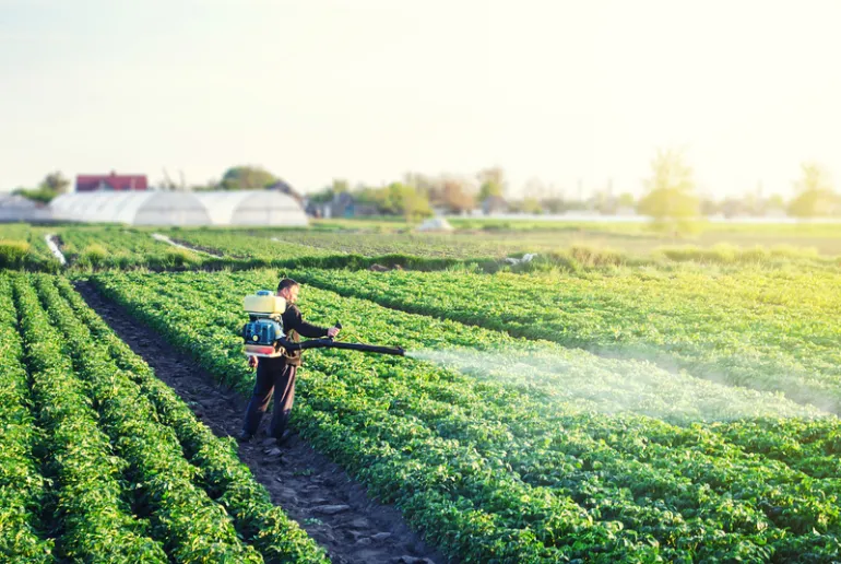 um dos 5 motivos para consumir alimentos orgânicos é diminuir a exposição a agrotóxicos