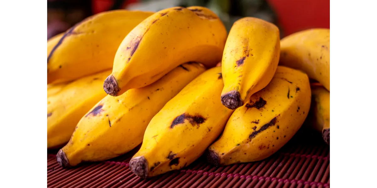 Além do potássio: conheça outros benefícios da banana para a saúde