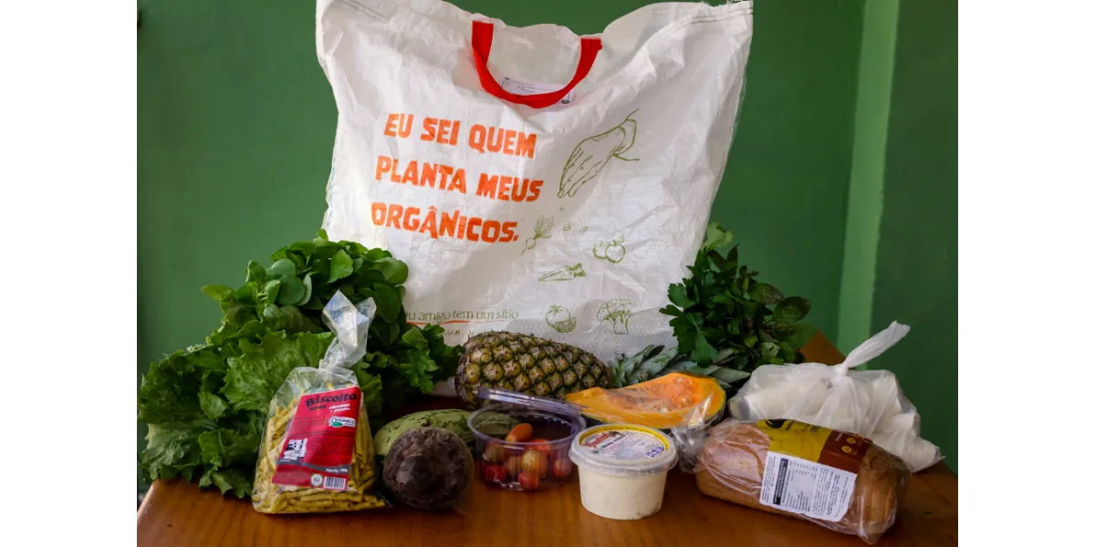 festa junina com orgânicos