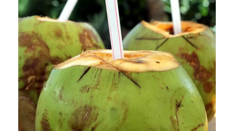 Coco verde e seus benefícios