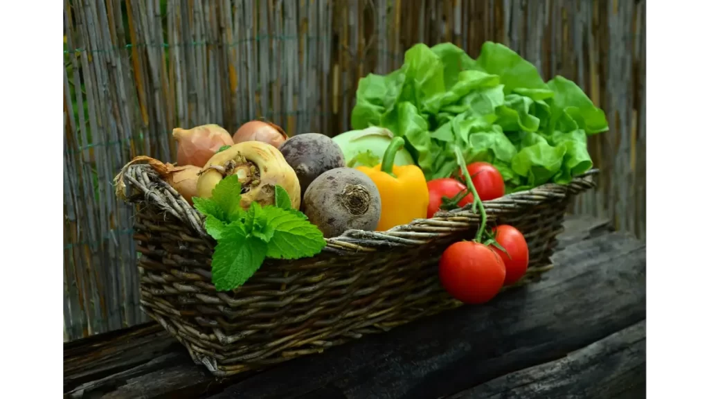 alimentos orgânicos são mais saudáveis