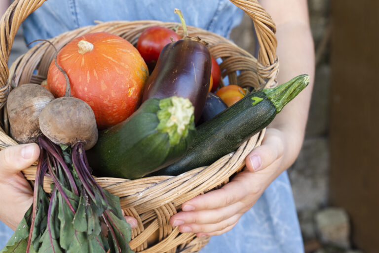 mãos segurando uma cesta com frutas e legumes orgânicos