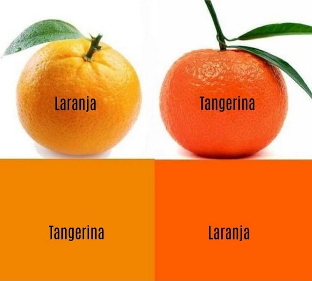laranja vs tangerina