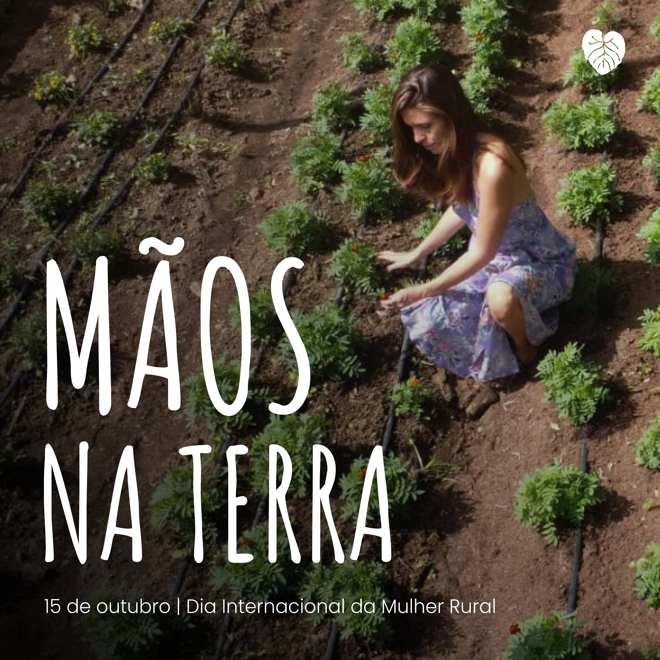 produtoras rurais